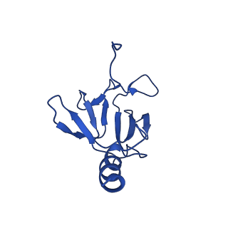 25106_7sg7_B_v1-1
In situ cryo-EM structure of bacteriophage Sf6 gp8:gp14N complex at 2.8 A resolution