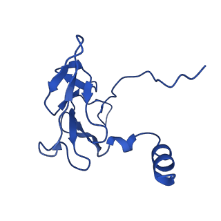 25106_7sg7_D_v1-1
In situ cryo-EM structure of bacteriophage Sf6 gp8:gp14N complex at 2.8 A resolution