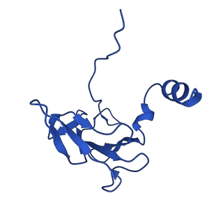 25106_7sg7_E_v1-1
In situ cryo-EM structure of bacteriophage Sf6 gp8:gp14N complex at 2.8 A resolution