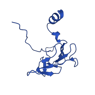 25106_7sg7_F_v1-1
In situ cryo-EM structure of bacteriophage Sf6 gp8:gp14N complex at 2.8 A resolution