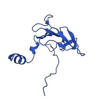 25106_7sg7_G_v1-1
In situ cryo-EM structure of bacteriophage Sf6 gp8:gp14N complex at 2.8 A resolution