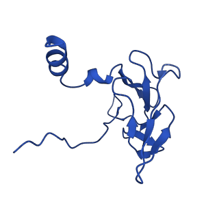 25106_7sg7_H_v1-1
In situ cryo-EM structure of bacteriophage Sf6 gp8:gp14N complex at 2.8 A resolution