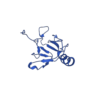 25106_7sg7_I_v1-1
In situ cryo-EM structure of bacteriophage Sf6 gp8:gp14N complex at 2.8 A resolution