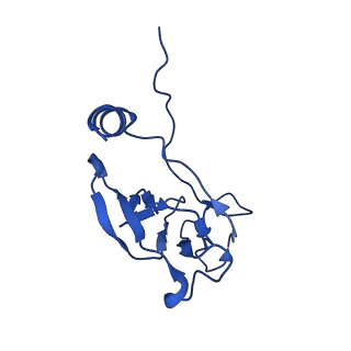 25106_7sg7_R_v1-1
In situ cryo-EM structure of bacteriophage Sf6 gp8:gp14N complex at 2.8 A resolution