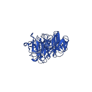 25106_7sg7_S_v1-1
In situ cryo-EM structure of bacteriophage Sf6 gp8:gp14N complex at 2.8 A resolution