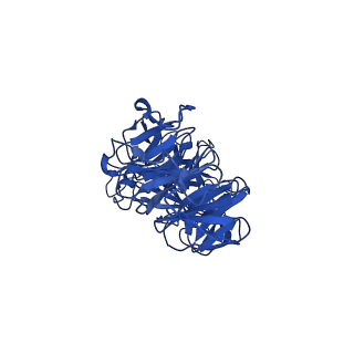25106_7sg7_T_v1-1
In situ cryo-EM structure of bacteriophage Sf6 gp8:gp14N complex at 2.8 A resolution