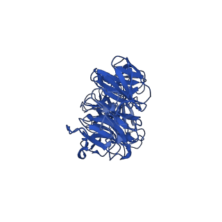 25106_7sg7_U_v1-1
In situ cryo-EM structure of bacteriophage Sf6 gp8:gp14N complex at 2.8 A resolution