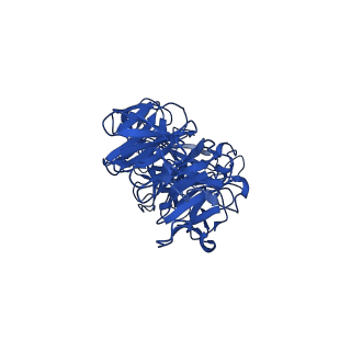 25106_7sg7_V_v1-1
In situ cryo-EM structure of bacteriophage Sf6 gp8:gp14N complex at 2.8 A resolution