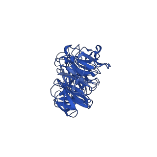 25106_7sg7_W_v1-1
In situ cryo-EM structure of bacteriophage Sf6 gp8:gp14N complex at 2.8 A resolution