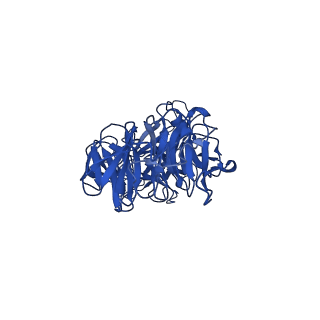 25106_7sg7_X_v1-1
In situ cryo-EM structure of bacteriophage Sf6 gp8:gp14N complex at 2.8 A resolution