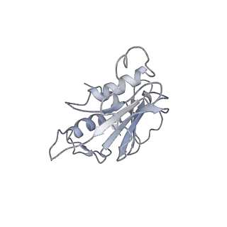 25109_7sgf_C_v1-2
Lassa virus glycoprotein construct (Josiah GPC-I53-50A) in complex with LAVA01 antibody