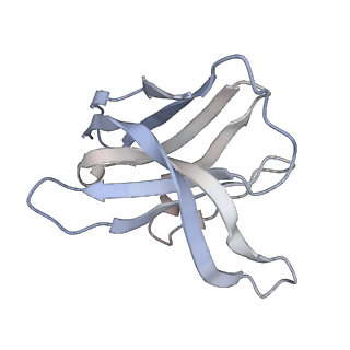 25109_7sgf_J_v1-2
Lassa virus glycoprotein construct (Josiah GPC-I53-50A) in complex with LAVA01 antibody
