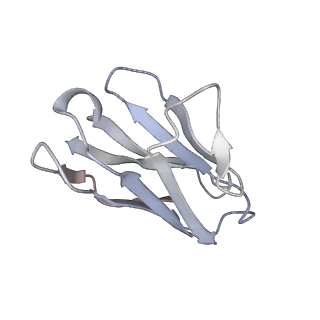 25109_7sgf_K_v1-2
Lassa virus glycoprotein construct (Josiah GPC-I53-50A) in complex with LAVA01 antibody