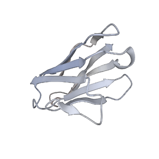 25109_7sgf_L_v1-2
Lassa virus glycoprotein construct (Josiah GPC-I53-50A) in complex with LAVA01 antibody