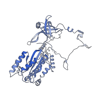 25113_7sgl_B_v1-1
DNA-PK complex of DNA end processing