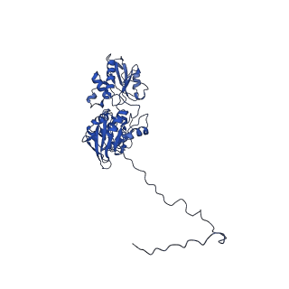25113_7sgl_D_v1-1
DNA-PK complex of DNA end processing