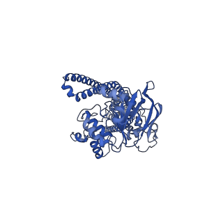 25116_7sgr_B_v1-0
Structure of hemolysin A secretion system HlyB/D complex