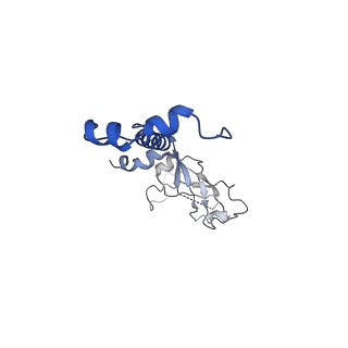 25116_7sgr_C_v1-0
Structure of hemolysin A secretion system HlyB/D complex