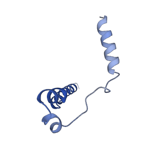 25116_7sgr_D_v1-0
Structure of hemolysin A secretion system HlyB/D complex
