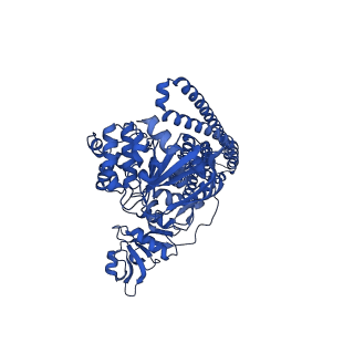 25116_7sgr_E_v1-0
Structure of hemolysin A secretion system HlyB/D complex