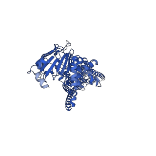 25116_7sgr_F_v1-0
Structure of hemolysin A secretion system HlyB/D complex