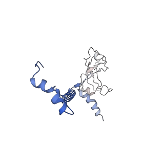 25116_7sgr_G_v1-0
Structure of hemolysin A secretion system HlyB/D complex