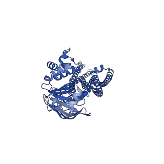 25116_7sgr_J_v1-0
Structure of hemolysin A secretion system HlyB/D complex