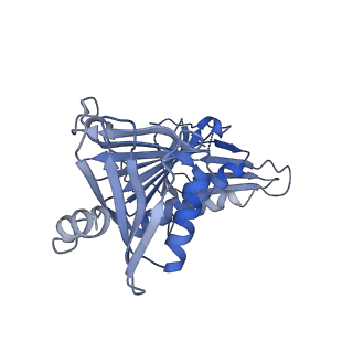 25121_7sgz_G_v1-2
Structure of the yeast Rad24-RFC loader bound to DNA and the closed 9-1-1 clamp