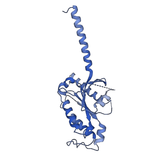40450_8sg1_A_v1-1
Cryo-EM structure of CMKLR1 signaling complex