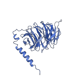40450_8sg1_B_v1-1
Cryo-EM structure of CMKLR1 signaling complex