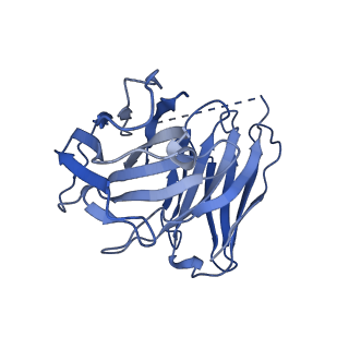 40450_8sg1_E_v1-1
Cryo-EM structure of CMKLR1 signaling complex