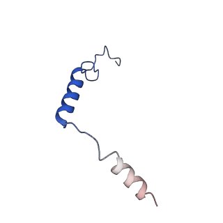 40450_8sg1_G_v1-1
Cryo-EM structure of CMKLR1 signaling complex