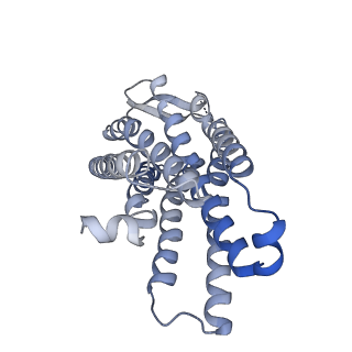 40450_8sg1_R_v1-1
Cryo-EM structure of CMKLR1 signaling complex