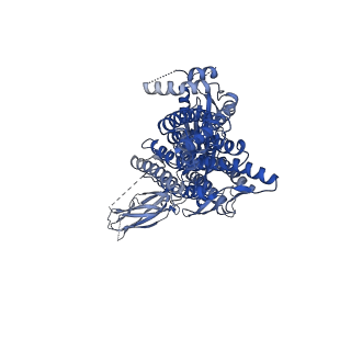 40457_8sgj_A_v1-1
Cryo-EM structure of human NCX1 in apo inactivated state