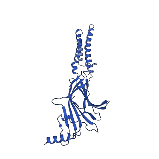 40462_8sgo_C_v1-1
Human GABAA receptor alpha1-beta2-gamma2 subtype in complex with GABA plus pregnenolone sulfate