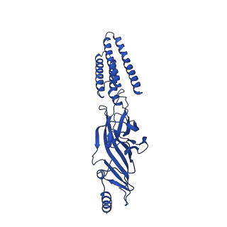 40462_8sgo_D_v1-1
Human GABAA receptor alpha1-beta2-gamma2 subtype in complex with GABA plus pregnenolone sulfate