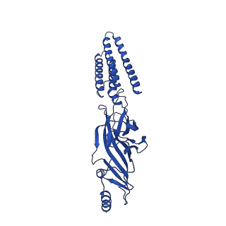 40462_8sgo_D_v2-0
Human GABAA receptor alpha1-beta2-gamma2 subtype in complex with GABA plus pregnenolone sulfate