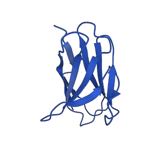 40462_8sgo_I_v1-1
Human GABAA receptor alpha1-beta2-gamma2 subtype in complex with GABA plus pregnenolone sulfate