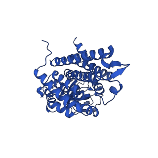 40463_8sgp_A_v1-0
human liver mitochondrial Medium-chain specific acyl-CoA dehydrogenase