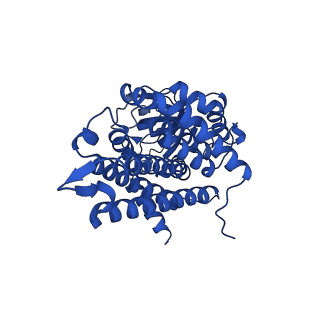 40463_8sgp_C_v1-0
human liver mitochondrial Medium-chain specific acyl-CoA dehydrogenase