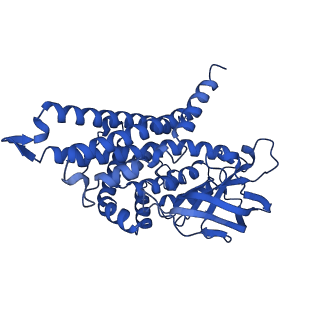 40465_8sgr_A_v1-0
human liver mitochondrial Isovaleryl-CoA dehydrogenase