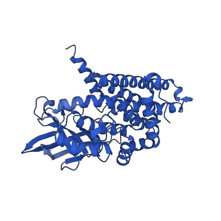 40465_8sgr_B_v1-0
human liver mitochondrial Isovaleryl-CoA dehydrogenase