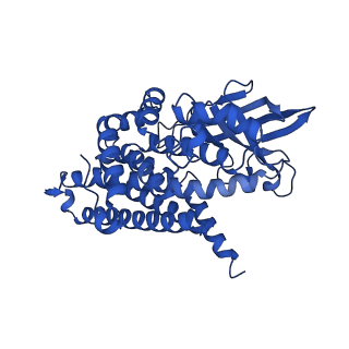 40465_8sgr_C_v1-0
human liver mitochondrial Isovaleryl-CoA dehydrogenase