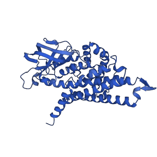 40465_8sgr_D_v1-0
human liver mitochondrial Isovaleryl-CoA dehydrogenase