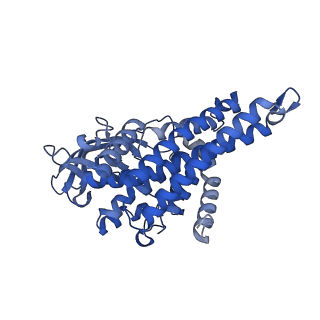 40466_8sgs_A_v1-0
human liver mitochondrial Short-chain specific acyl-CoA dehydrogenase