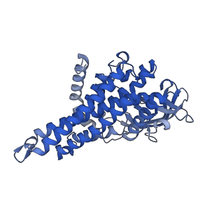 40466_8sgs_B_v1-0
human liver mitochondrial Short-chain specific acyl-CoA dehydrogenase