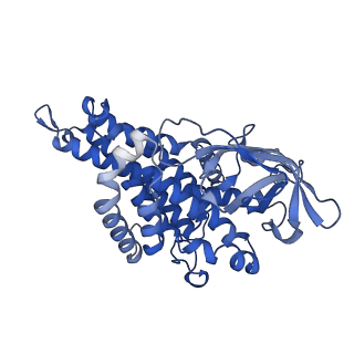40466_8sgs_C_v1-0
human liver mitochondrial Short-chain specific acyl-CoA dehydrogenase