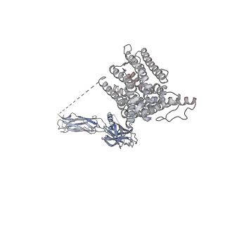 40467_8sgt_A_v1-1
Cryo-EM structure of human NCX1 in Ca2+ bound, activated state (group II in the presence of 0.5 mM Ca2+)