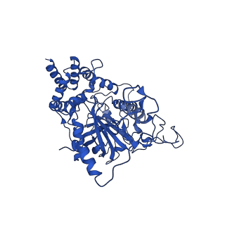 40469_8sgv_A_v1-0
human liver mitochondrial Catalase