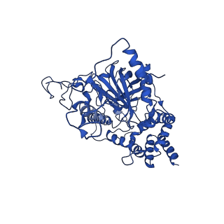 40469_8sgv_B_v1-0
human liver mitochondrial Catalase